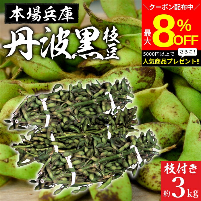 枝豆　黒豆 枝豆 2025 丹波篠山 ブランド 黒枝豆 2kg 枝付き h-e2 もっちり