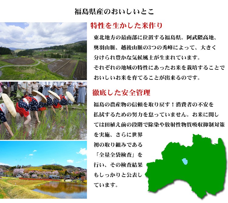 米白米10kg送料無料コシヒカリ5kg×2袋福島県産令和4年産コシヒカリお米10キロ安いあす楽沖縄配送不可