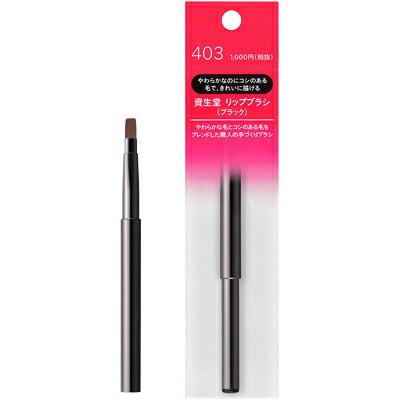 REPLAOR リプラオールリップケア３本とおまけ付き sho190000001.jpg