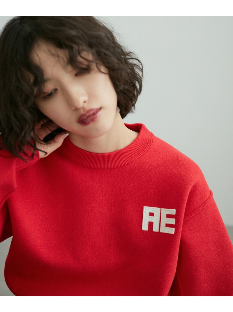 サステナブル・洗える】フェルト刺しゅうニットプルオーバー ADAM ET