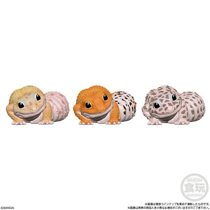 セール BANDAI アニマル Candy てのりフレンズ6 爬虫類 食玩 両生類 とかげ 蜥蜴 トカゲ 第6弾 ボックス 小動物 BOX バンダイ  12個入り