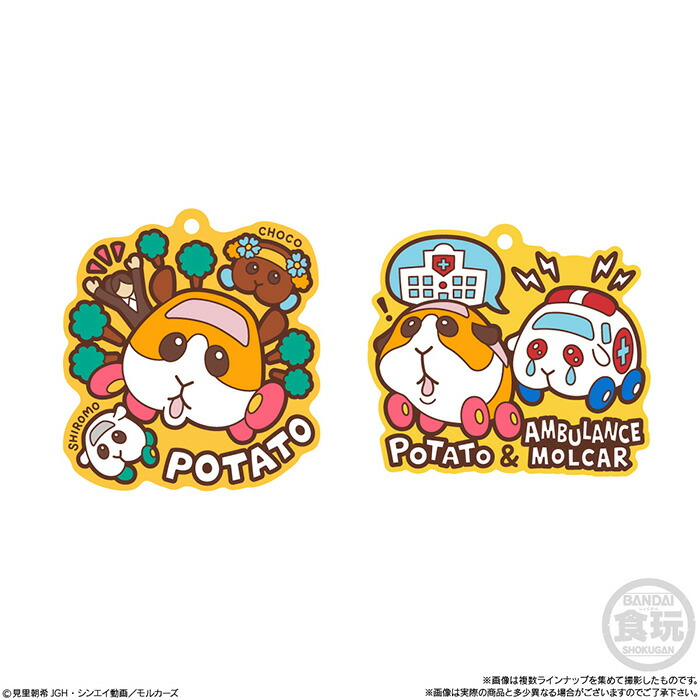 送料無料 Bandai アビー モルカー グミ ボックス Pui チョコ 食玩 ぷっくりラバマスグミ バンダイ テディ 12個入り シロモ Box Candy ポテト