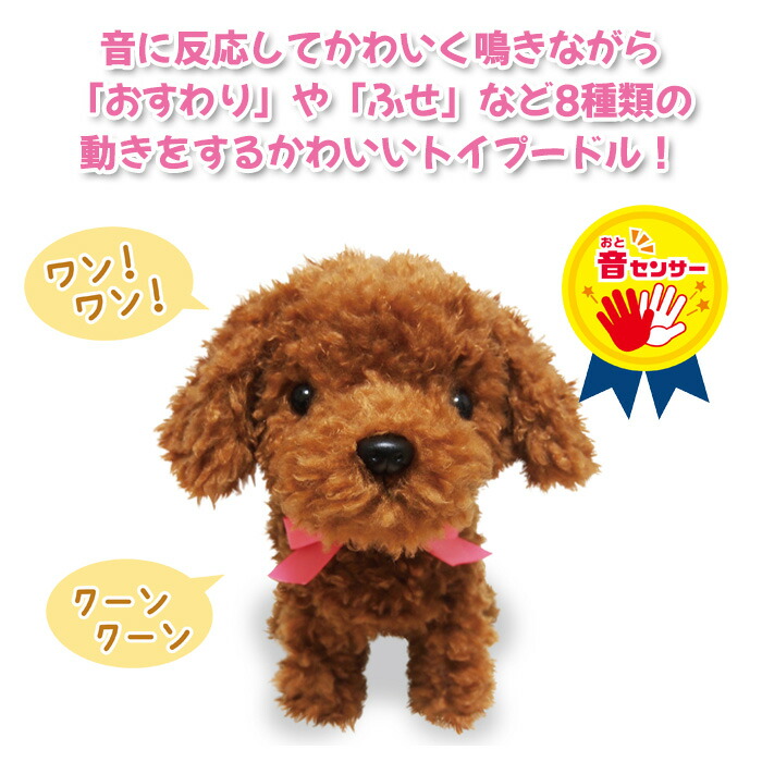 送料無料 元気な仔犬 トイプードルのショコラちゃん 動く 歩く 鳴く ぬいぐるみ いぬ イヌ 犬 トイプードル 癒し 人形 ペット ロボット 音 プレゼント ギフト おもちゃ クリスマス 誕生日 敬老の日 母の日 父の日 介護 老人 お年寄り 子供 低学年 赤ちゃん キッズ S Os 6k971