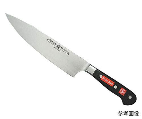 アズワン DZ 牛刀 4582-20SG 20cm/62-8219-55