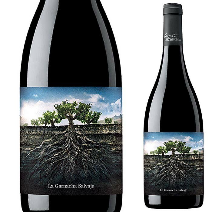 楽天市場】ロンミエル コカル 甘口 ラム ラム酒 スペイン カナリア