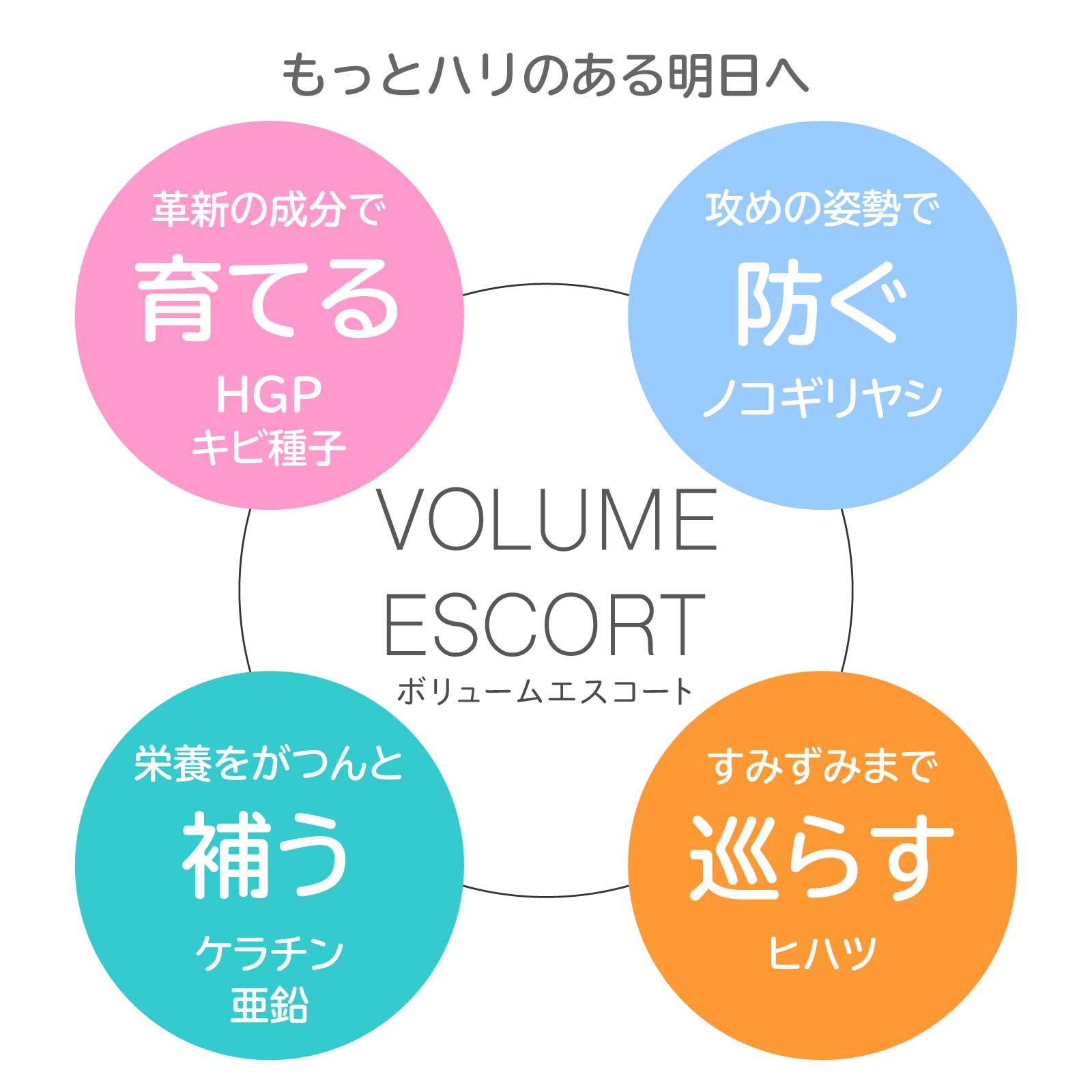 サプリメント ノコギリヤシ Hgp アデランス ボリュームエスコート Hgp サプリメント ノコギリヤシ サプリメント 育毛 サプリ キビ種子 ケラチン 亜鉛 ヒハツ ヘアケア スカルプケア 髪 サプリ Hgp業界最高配合 男性 女性 1日4粒 約30日分 Natboardmcqs Com サプリメント ノコギリヤシ Hgp アデランス ボリュームエスコート Hgp サプリメント ノコギリヤシ サプリメント 育毛 サプリ キビ種子 ケラチン 亜鉛 ヒハツ ヘアケア スカルプケア 髪 サプリ Hgp業界最高配合 男性 女性 1日4粒 約30日分 Natboardmcqs Com