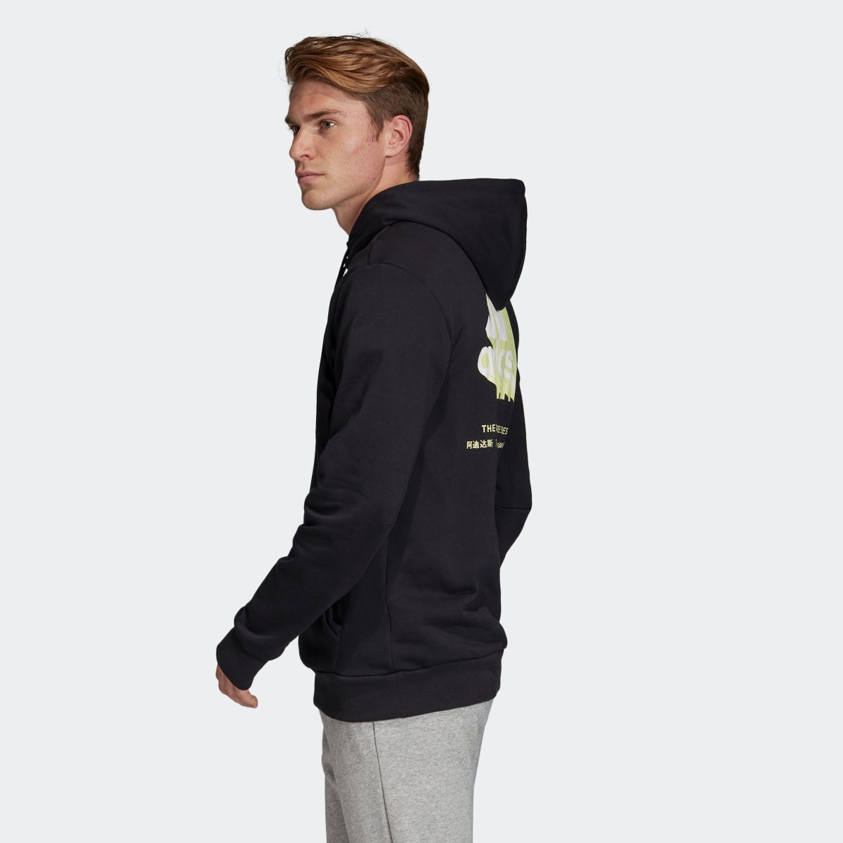 adidas graphic hoodie