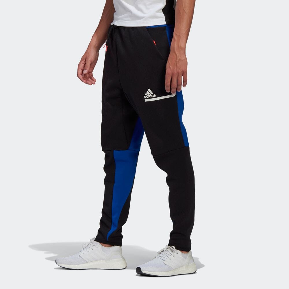 zne pants