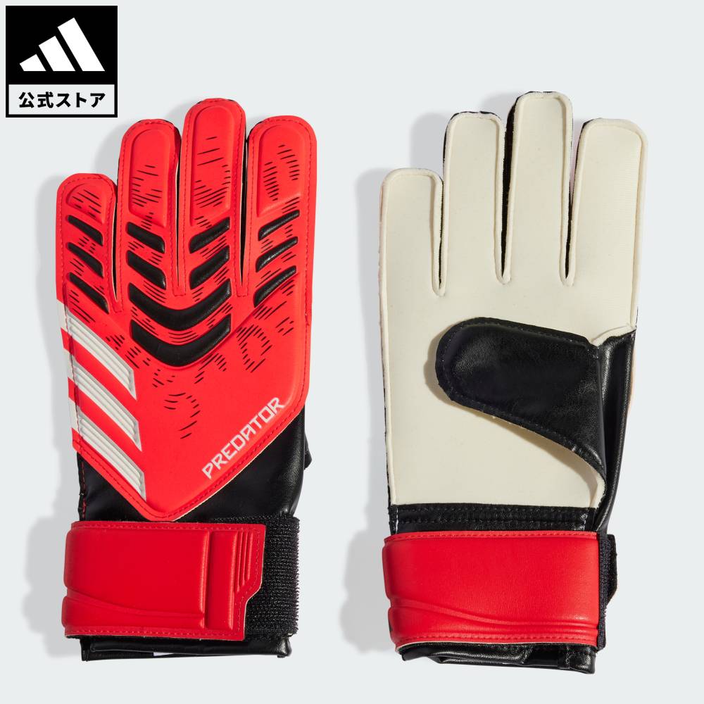 楽天市場】【ポイント20倍 11/01 00:00～23:59】 【公式