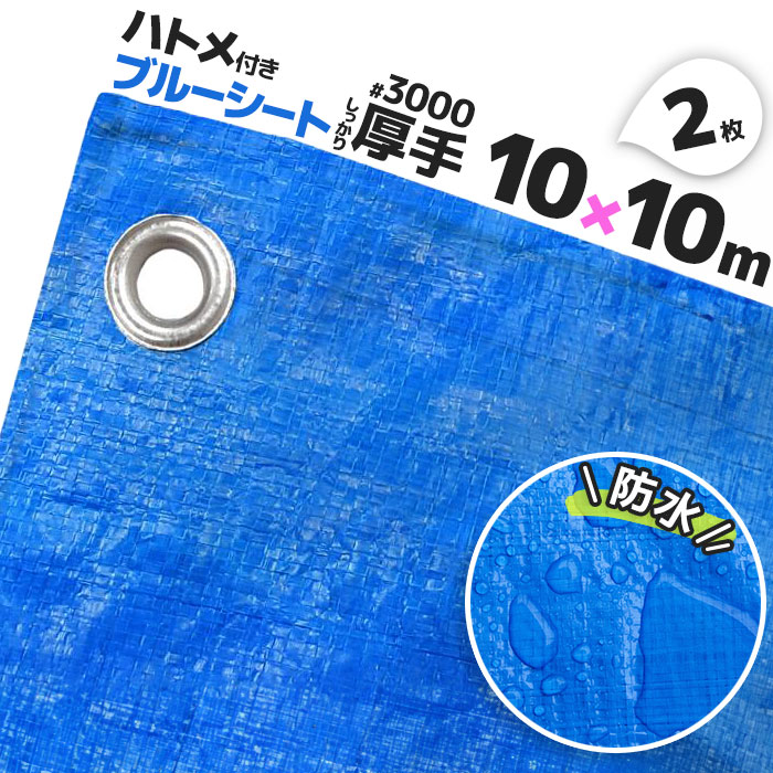 ブルーシート 厚手 防水 ハトメ 2枚 3000 10ｍ×10m 10.0 大判サイズ