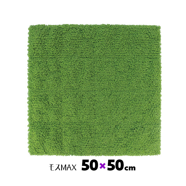 【楽天市場】GMシートモスMAX 1×1mm 連結可能 装飾 壁面緑化 緑