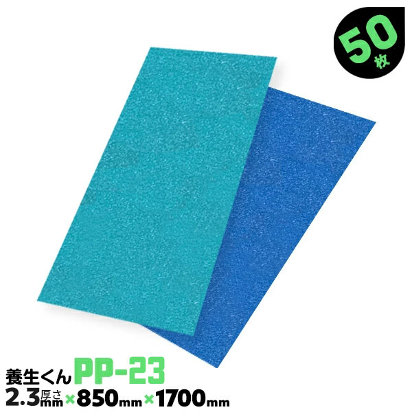 50枚 PP-23 厚さ2.3mm 養生くん 第一大宮 床養生ボード 内装工事 壁養生ボード 引越養生ボード リフォーム現場 ボード 養生 青ベニヤ