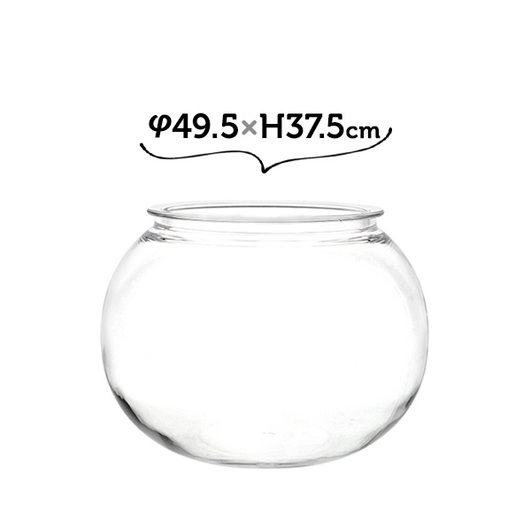 58％以上節約 激安な ホワイエ 割れない花瓶 アクアリウム 大きい 金魚鉢 テラリウム PV球形 49.5×H37.5 aberforthnewfoundlands.ca aberforthnewfoundlands.ca