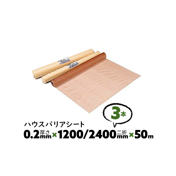3本 0.2mm厚 1200/2400mm×50m ダブル B種 ハウスバリアシート 酒井化学 防湿気密シート【送料無料】