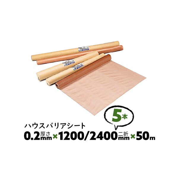 5本 0.2mm厚 1200/2400mm×50m ダブル B種 ハウスバリアシート 酒井化学 防湿気密シート【送料無料】