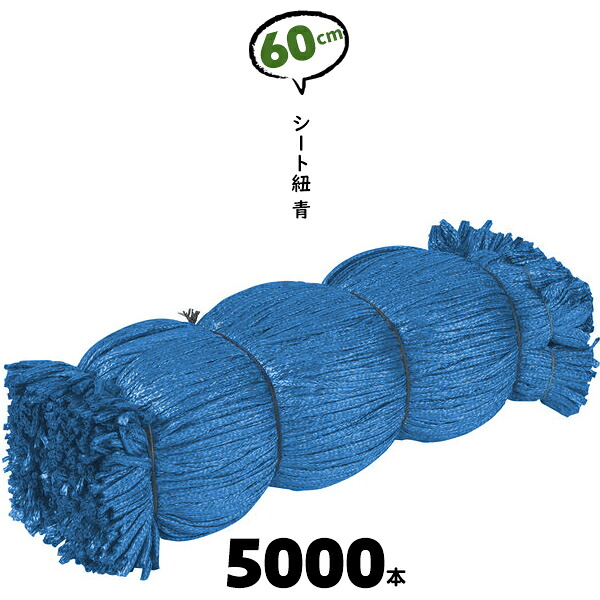 60cm 5000本 ブルー シート紐 シートひも シート用紐 青 足場 紐 シートひも カット紐 600mm 建築現場 建設現場 足場単管 くくるひも シート用【送料無料】