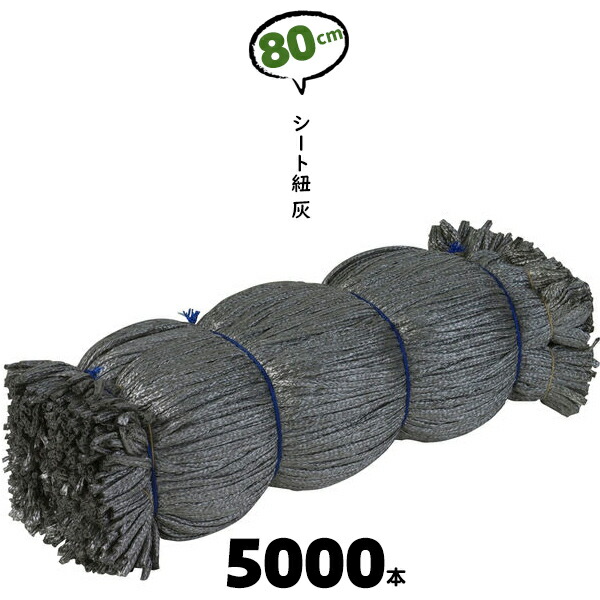 類概念盛りだくさん！ 物干し鉄器 ホスクリーン