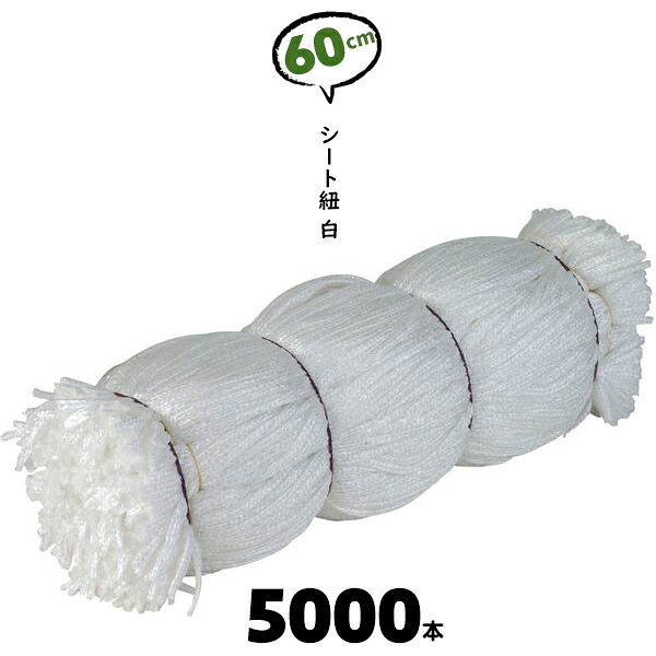 60cm 5000本 ホワイト シート紐 シートひも シート用紐 白 足場 紐 シートひも カット紐 600mm 建築現場 建設現場 足場単管 くくるひも シート用【送料無料】