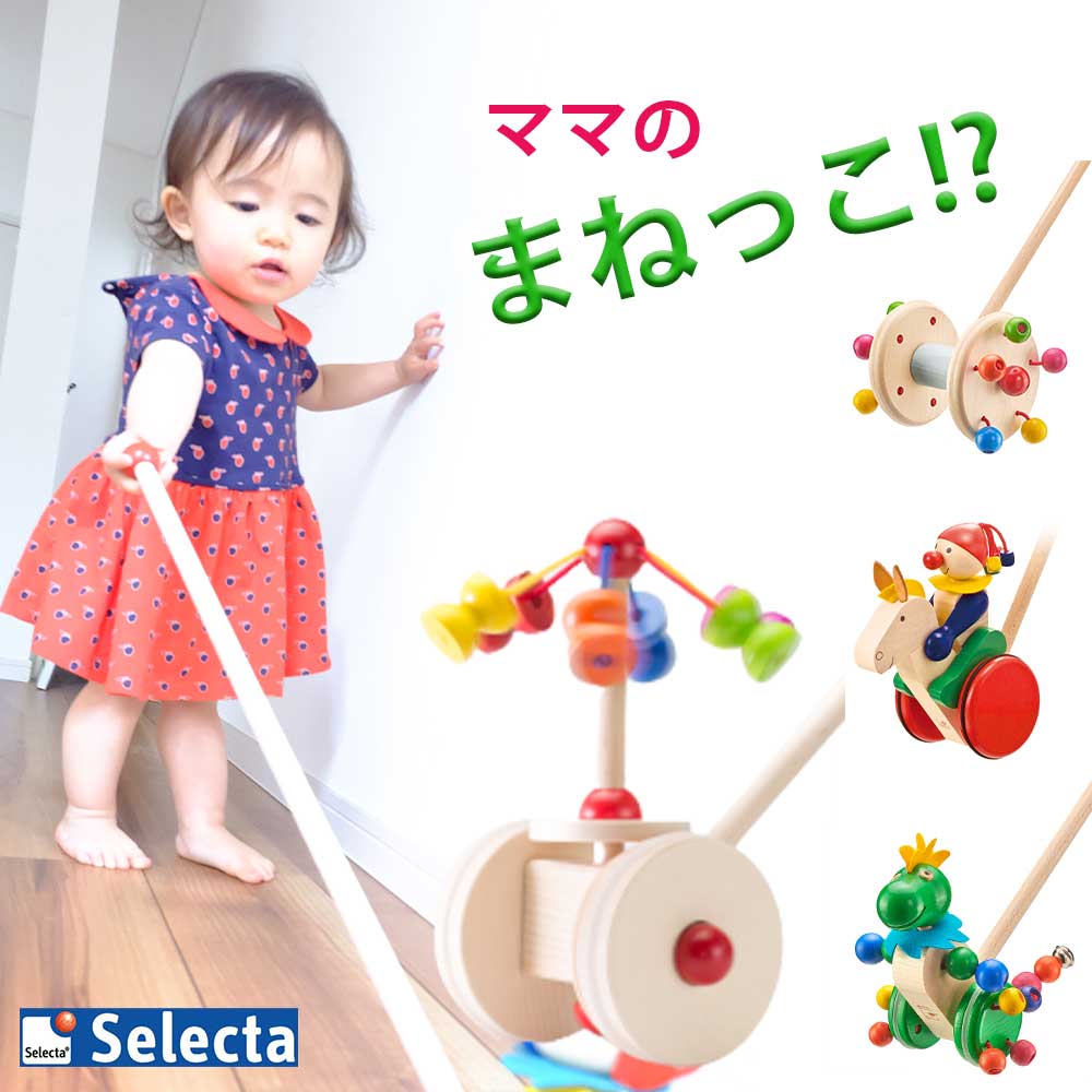 Selecta Piccobello 知育玩具 メーカー取寄】PGS-132 ピタゴラスBASIC知育いっぱい！ボール