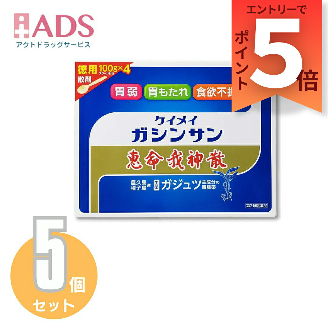 【第2類飲み薬】恵命我神散 100g 4袋≪5書き割り≫