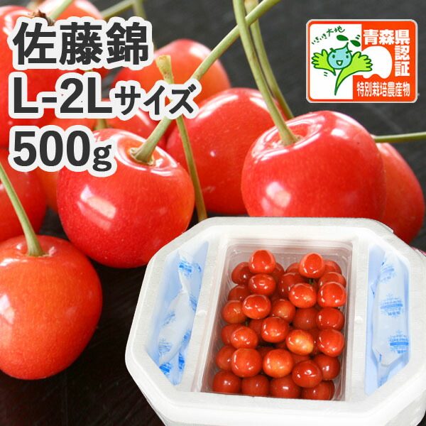 早期予約【※日付指定不可：送料無料・発泡ケース・※冷蔵便有】青森県産 さくらんぼ 佐藤錦Ｌ-2Ｌサイズ 500ｇ（ハウス栽培/秀/バラ詰め/認証有）高級果実 大粒 減農薬 低農薬 農薬削減 化学肥料不使用  青森県特別栽培農産物 朝取り【配送地区限定】お中元短冊ラベル対応可