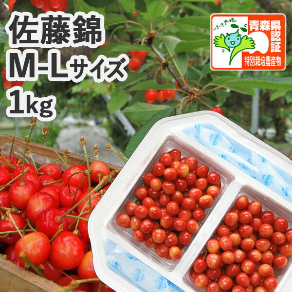 早期予約【※日付指定不可・送料無料・※冷蔵便有】青森県産 さくらんぼ 佐藤錦M-Ｌサイズ混在1ｋｇ（ハウス栽培/秀品/バラ詰め/認証）減農薬 低農薬 農薬削減 化学肥料不使用  特別栽培農産物 朝取り 家庭用 贈答 【 発泡ケース入・配送地区限定有】お中元短冊ラベル可