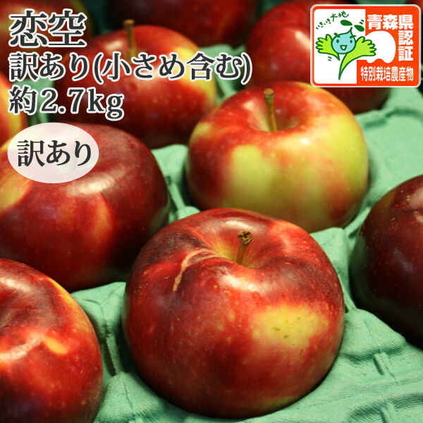 生産量の少ない希少品種の夏りんご【送料無料・冷蔵便】 青森県産りんご 恋空（こいぞら） ほほえみ（ 訳あり・小玉サイズ含む） 約2.7kg（8-14個入） 県認証あり 農薬減 化学肥料不使用 特別栽培農産物 葉とらず 国産 【沖縄・離島：送料1100円】画像