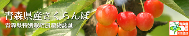 楽天市場】 青森県産りんご > 千雪：（10月末〜11月上旬収穫） : 津軽ゆめりんごファーム