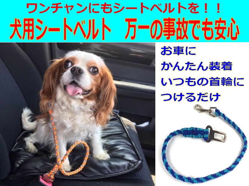 楽天市場 犬のリード シートベルト パラコードペット用品 職人手作り パラシュートコード４m利用 交通安全 しつけ 犬 首輪 散歩 犬用 カジュアル おしゃれ カラフル ファッションリード 大型犬 小型犬 中型犬 カラー 訓練 トレーニング Deal アドバンスワークス