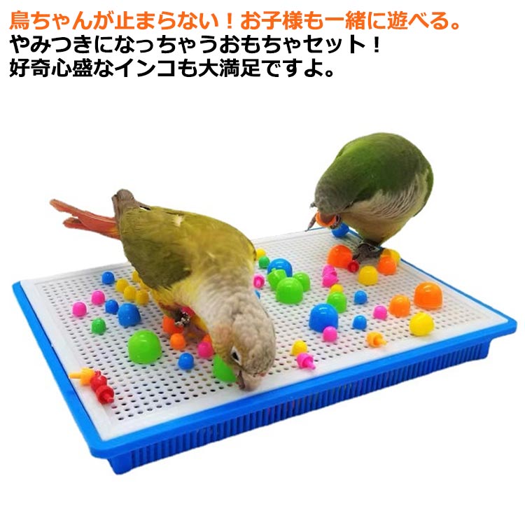 楽天市場】鳥のおもちゃ インコ おもちゃ バードトイ 鳥 小鳥 ストレス