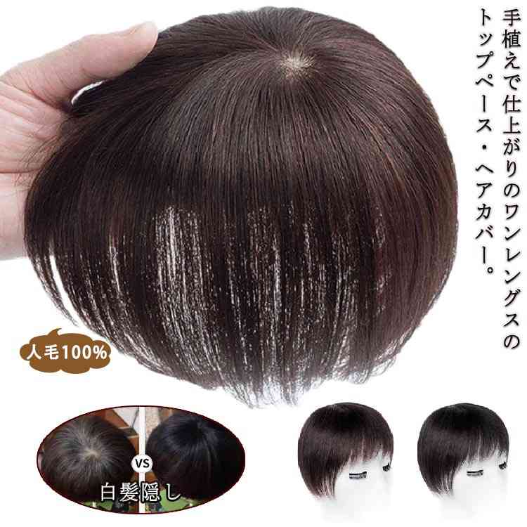 人毛レデースウィッグ　人毛部分ウィッグ　人毛トップピース　人毛ヘアピース 楽天市場】人毛 トップピース ストレート ワンレングス