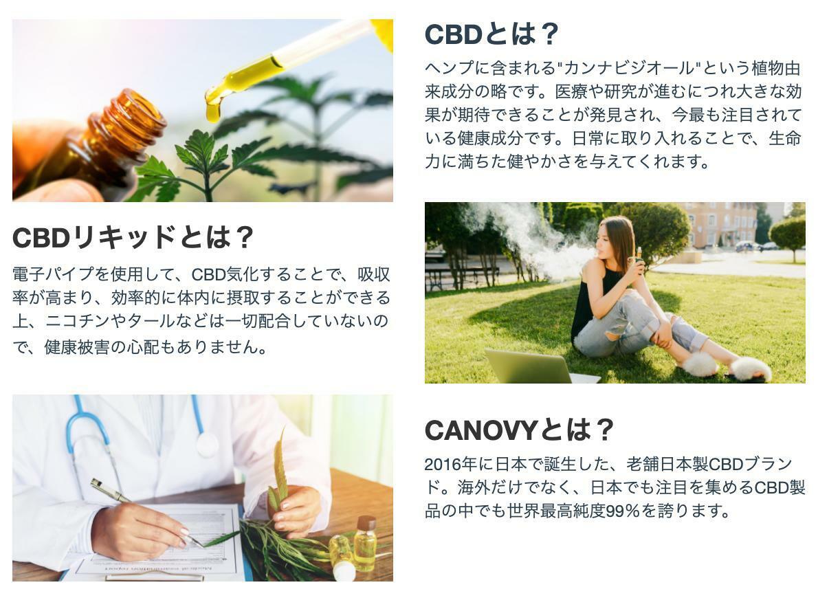 海外 CANOVY CBD リキッド 1000mg アップル フレーバー SMOK セット 内容量10ml CBD10％含有 日本製 fucoa.cl