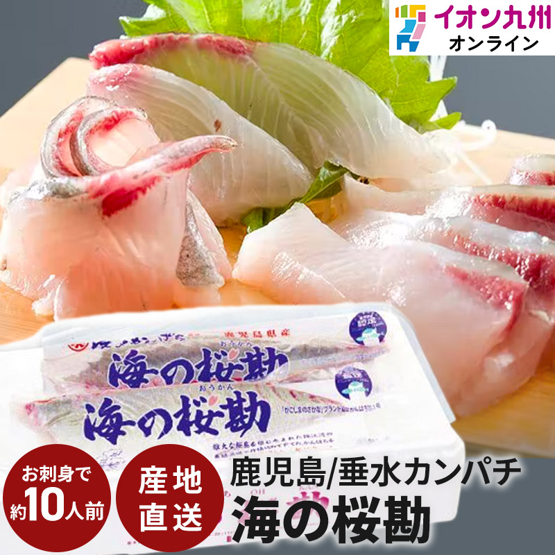 楽天市場 魚 かんぱち 鹿児島カンパチ 海の桜勘 スキンレスロイン 半身分 垂水市漁業協同組合 冷蔵 半身 国産 鹿児島 海鮮 さかな グルメ ギフト お取り寄せ お取り寄せグルメ 贈り物 煮魚 おかず 一人暮らし イオン九州オンライン