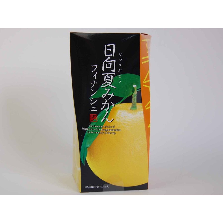 夏みかん様 確認用 JA 熊本うき】≪数量限定≫ 三角特産 甘夏みかん缶詰 12缶入り