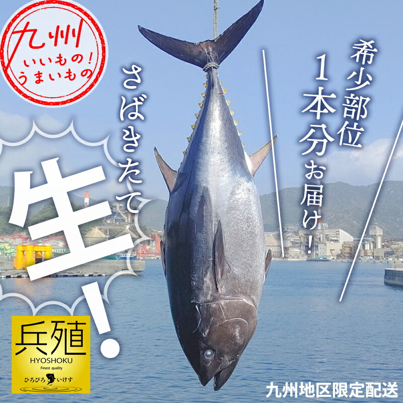 養殖本まぐろ（解体後全部位）１本　兵殖｜イオン九州オンライン