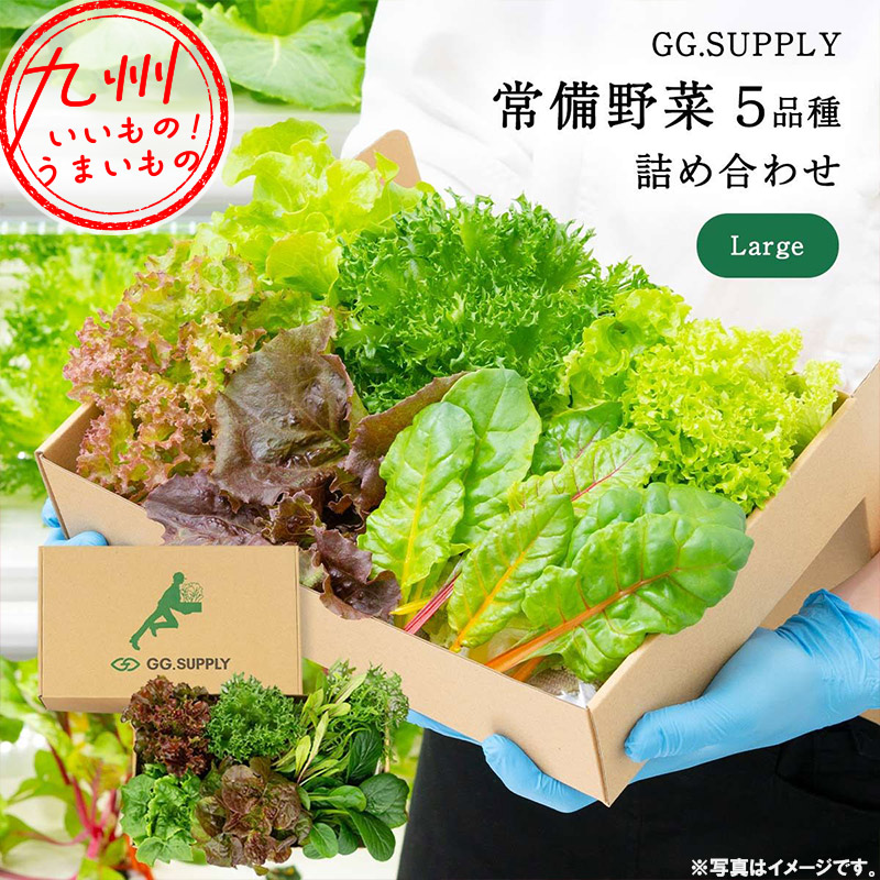 楽天市場】Gift 常備野菜 7品種の贈り物 葉野菜7種 GG.SUPPLY ジージー 