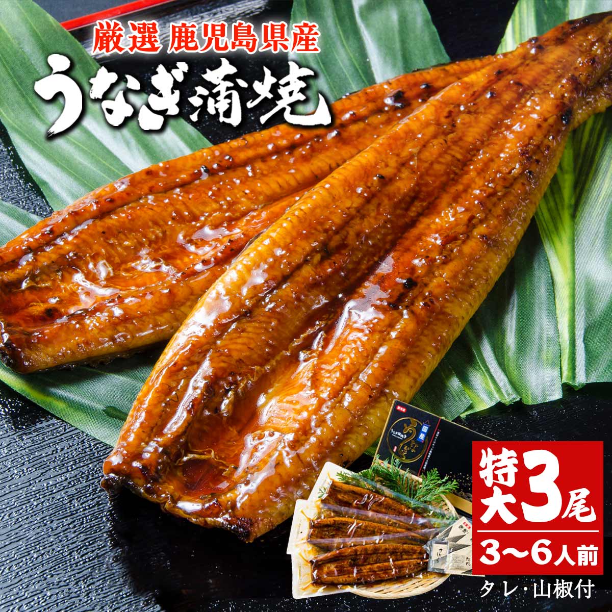 鹿児島県産うなぎ蒲焼 【特大】 (3尾セット)