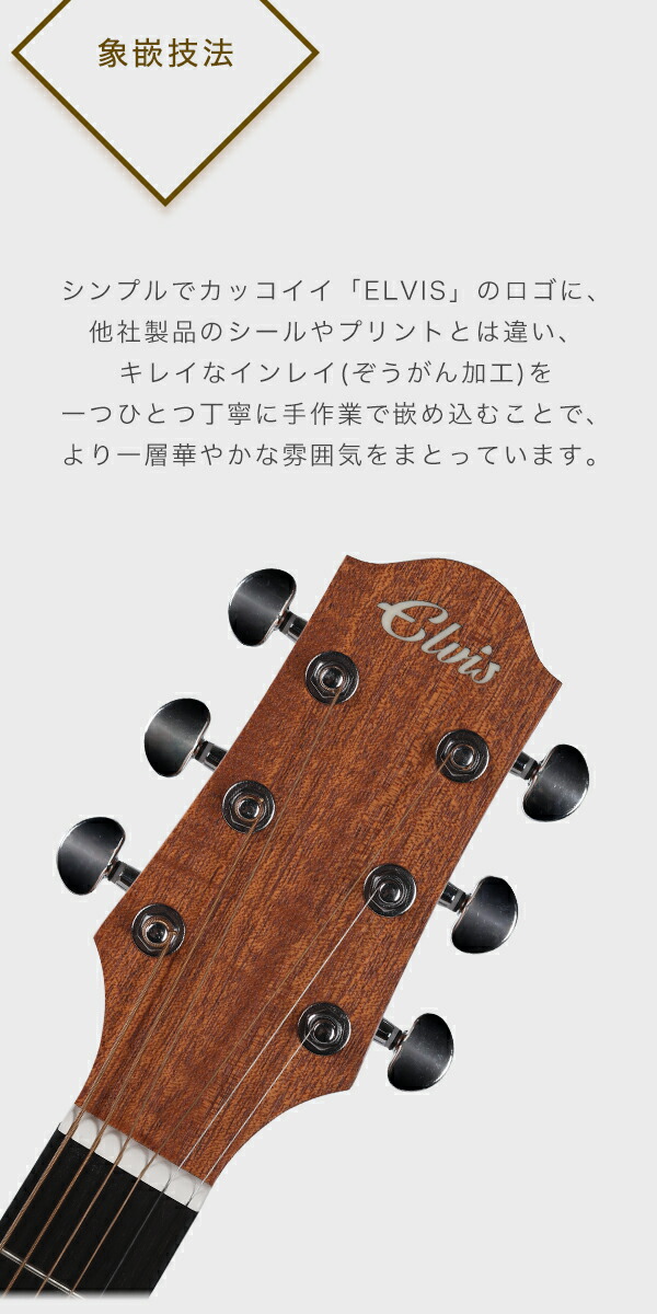 タイムセールelvisエルビス Master 1 アコースティックギター 初心者入門８点セット