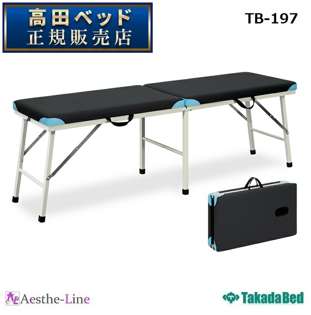 高田ベッド カスタム（無孔） TB-197 ポータブルベッド 治療ベッド