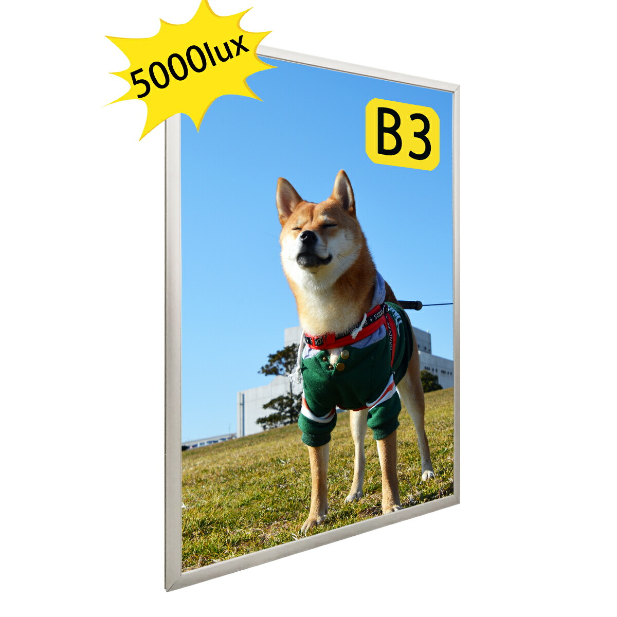 高輝度5000lux Ledライトパネル 電飾看板 屋内用 サイズ シルバー色 店舗用看板 壁掛け看板 ポスター入れ看板 内照式看板 ポスター入れ看板 看板 四辺開閉式 薄型 高輝度 Arganita Tn