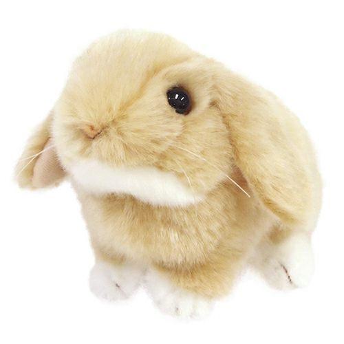 うさぎちゃんぬいぐるみ Amazon.co.jp: HAC おさんぽ うさぎちゃん うさぎ 約W9×D14.5