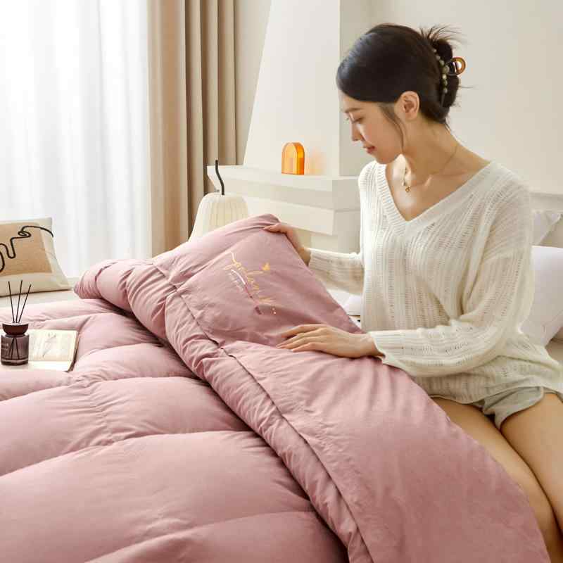 冬用 グースダウン 掛け布団 ダブル大きさ 取りはらい能力のある覆いかぶせる パステル色の 飛び切り感 保暖 防寒 生あたたかい 綿毛 寝具 身寄り用 軽さ ふかふか 吸湿 通年相応う能力のある