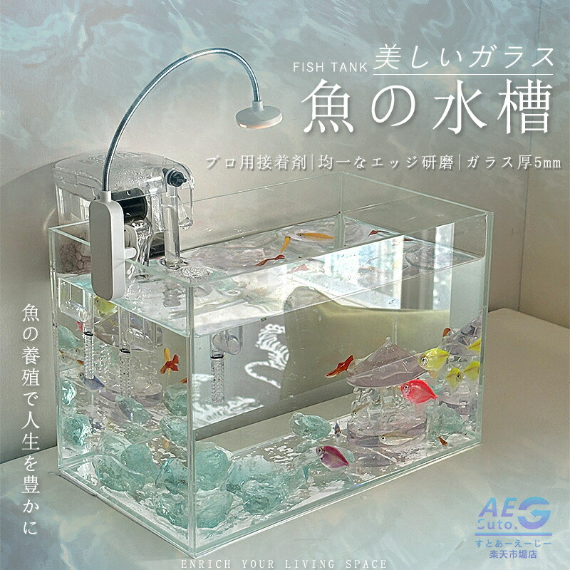 楽天市場】【増設用】 お部屋に小さな水族館 キューブボックスα