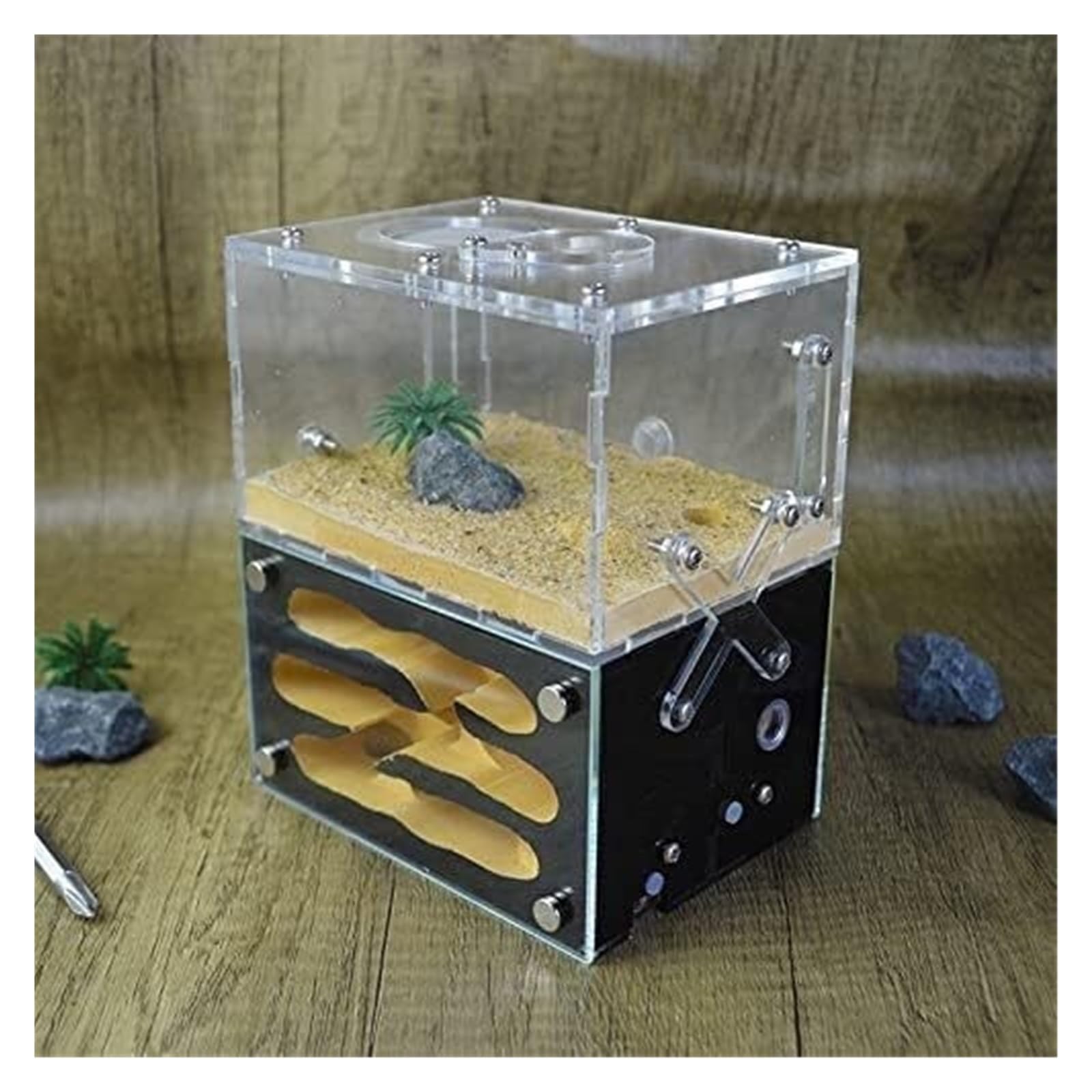 アリ飼育ケース　大小セット　餌場付き　石膏巣　蟻の巣 Amazon.co.jp: アリの巣 石膏製 アリ飼育キットアリの巣観察