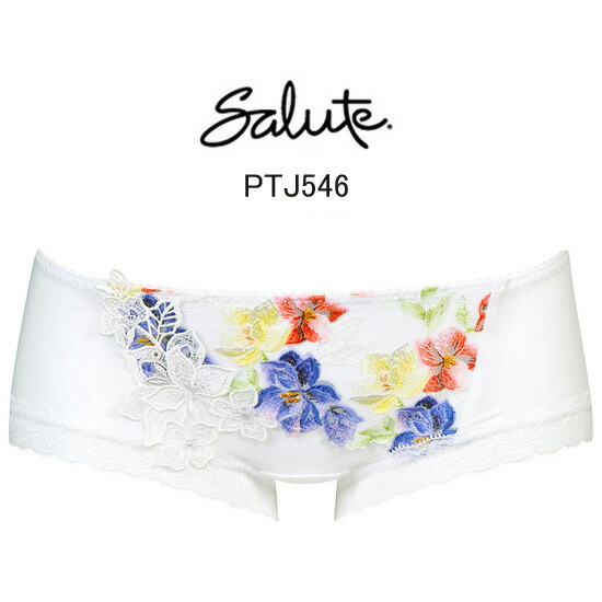 楽天市場】再値下げ40%OFF!!【ワコール サルート】46グループプッシュ