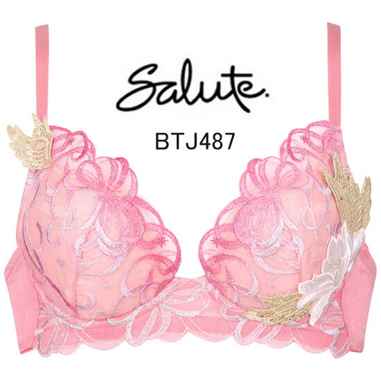 楽天市場】再値下げ35%OFF!!【ワコール サルート】93グループプッシュ