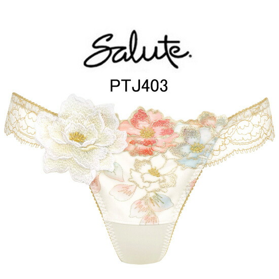 salute　サルート　03G 03グループ　F70 GY P-UP セット 楽天市場】25%OFF ワコール Wacoal サルート salute 03グループ