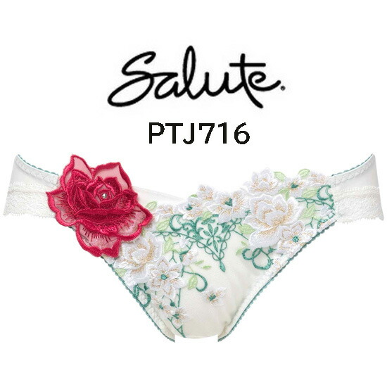 。専用。ワコール、サルート16グループスリップLLサイズ完売品。 サルート ワコール スリップ STJ216 Wacoal salute 16グループ 16G