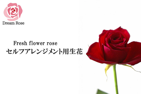 楽天市場 薔薇 バラ 生花 セルフアレンジメント用 バラ 赤 単色 30本 切花 新鮮なバラを産地直送 ドリームローズ 山形 蕎麦とおつまみあがっしゃい総本舗