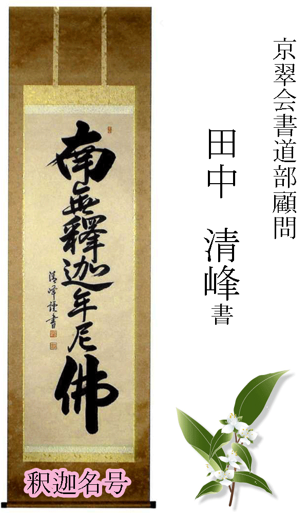 掛け軸 掛軸 【南無釈迦年尼佛 法要】釈迦名号(田中 清峰) 新品掛軸(かけじく) 販売 【smtb-TK】|くおん
